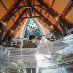 アーブルオランジュの写真3枚目