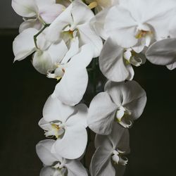 古我邸の写真10枚目