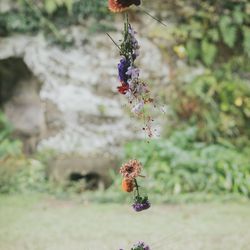 古我邸の写真11枚目