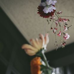 古我邸の写真19枚目