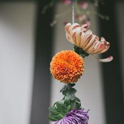 古我邸の写真3枚目