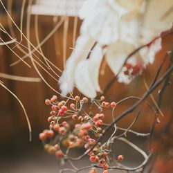 古我邸の写真6枚目