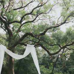 古我邸の写真14枚目