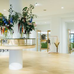 メゾン プルミエールの写真32枚目