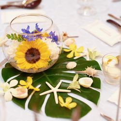 ザ・ミーツ マリーナテラスの写真34枚目