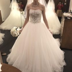 ザ・ミーツ マリーナテラスの写真10枚目