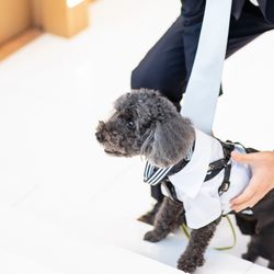 ザ・サーフ オーシャンテラスの写真21枚目