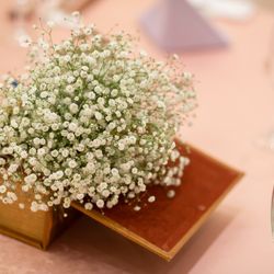 ディアステージつくばフォレストテラスの写真10枚目