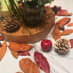 けやき坂 彩桜邸 シーズンズテラスの写真9枚目