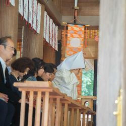 宮崎神宮の写真2枚目