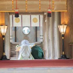 宮崎神宮の写真5枚目