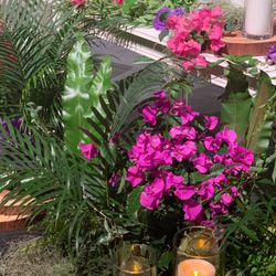 パレスホテル東京の写真26枚目