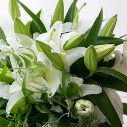 シャングリ・ラ 東京の写真19枚目