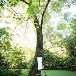 ザ ナンザンハウスの写真29枚目