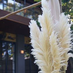 ザ ナンザンハウスの写真17枚目