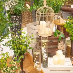 ディアステージつくばフォレストテラスの写真28枚目