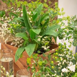 ディアステージつくばフォレストテラスの写真12枚目