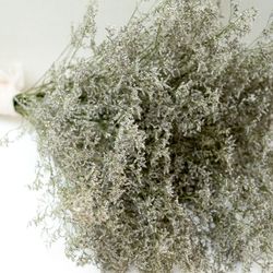 アプローズスクエア 名古屋迎賓館の写真11枚目