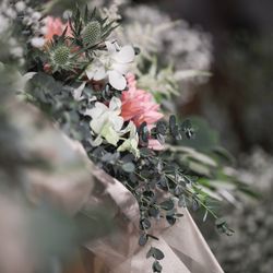 ラヴィマーナ神戸の写真35枚目