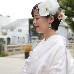 鯛萬の写真4枚目