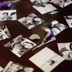 鯛萬の写真7枚目