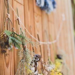 鶴見ノ森 迎賓館の写真30枚目