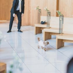 鶴見ノ森 迎賓館の写真33枚目