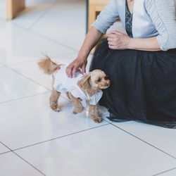 鶴見ノ森 迎賓館の写真20枚目