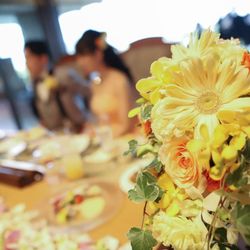 ザ・ミーツ マリーナテラスの写真28枚目