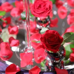 ウェスティンホテル東京の写真25枚目