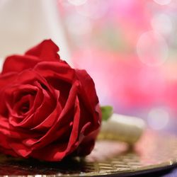 ウェスティンホテル東京の写真4枚目