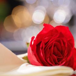 ウェスティンホテル東京の写真13枚目