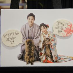 ウェスティンホテル東京の写真11枚目