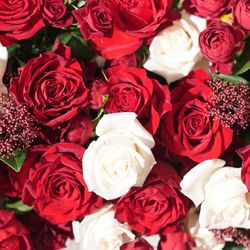 ウェスティンホテル東京の写真3枚目