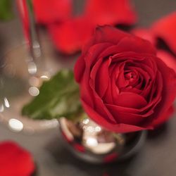 ウェスティンホテル東京の写真33枚目