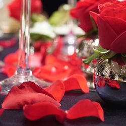 ウェスティンホテル東京の写真27枚目