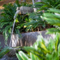 ジ・オリエンタルテラス ハイダウェイの写真24枚目