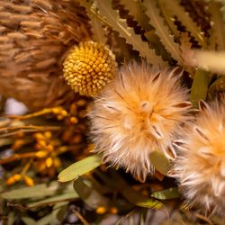 ジ・オリエンタルテラス ハイダウェイの写真31枚目