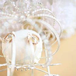 麗風つくば シーズンズテラスの写真25枚目