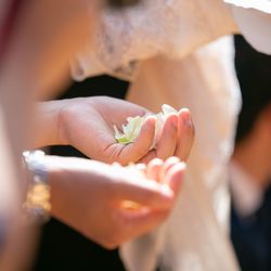 東京會舘の写真28枚目