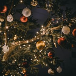 ララシャンス 博多の森の写真9枚目