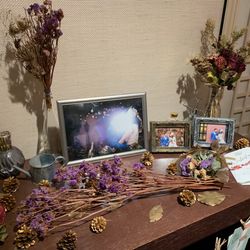 ラソールガーデン大阪の写真2枚目