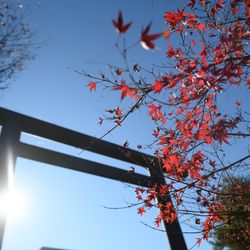 アルモニー ビアン の写真30枚目