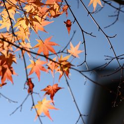 アルモニー ビアン の写真28枚目