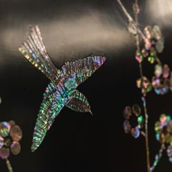 ホテル雅叙園東京の写真14枚目