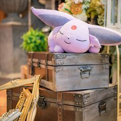 ディアステージつくばフォレストテラスの写真15枚目