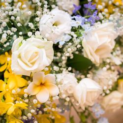 ザ・サーフ オーシャンテラスの写真6枚目