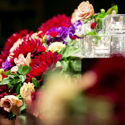 カノビアーノ 福岡の写真23枚目