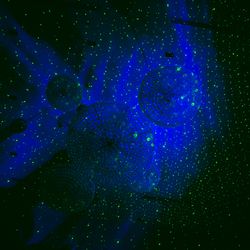 カノビアーノ 福岡の写真27枚目