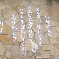 カノビアーノ 福岡の写真31枚目